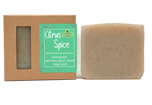 Cinnamon and Lemon Soap